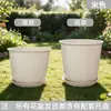 Macetas de Resina Engrosada, Macetas de Cerámica Falsa, Macetas de Plástico Grandes y Sencillas para Plantas Colgantes de Balcón