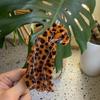 Novo ácido acético animal tigre canguru dinossauro leopardo nicho design clipe de garra tubarão clipe de cabelo cross border acessórios clipe de rabo de cavalo