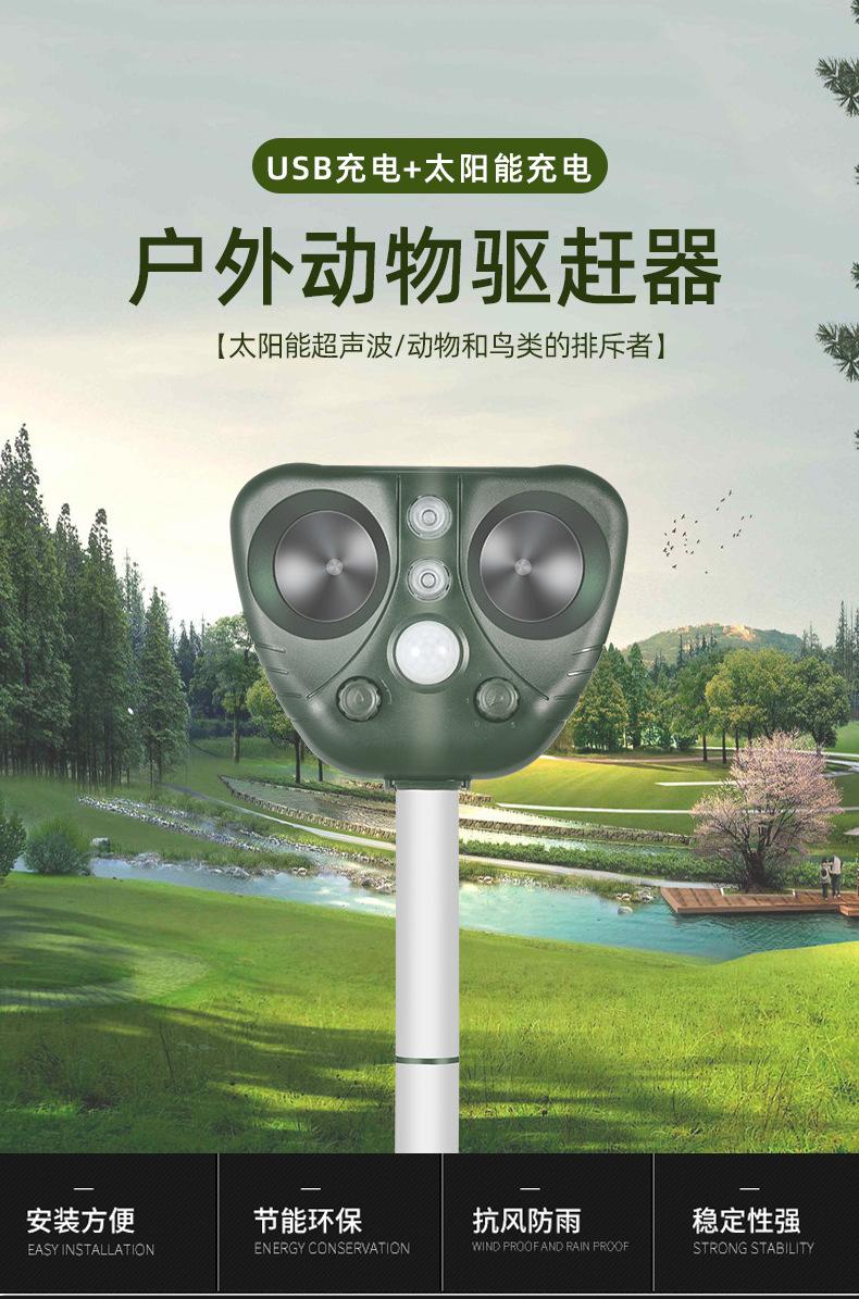 详情切片_01
