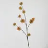 Ciprés Artificial de Tallo Largo y Fruta Fragante Rama Única Flor Falsa Castaña de Agua Decoración para el Hogar Arreglo de Diseño Floral Decoración Arreglo Floral de Boda