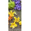 Decoración floral de jardín amarillo verdoso de verano flores artificiales al por mayor estilo jardín Monet área de bienvenida fondo guía de camino simulación