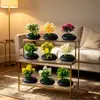 Nuevo Maceta Pequeña Poco Profunda Piedra Negra Malla 5 Plantas Acuáticas Bonsái Pequeño Oficina en Casa Escritorio Flor Artificial Adornos de Bonsái