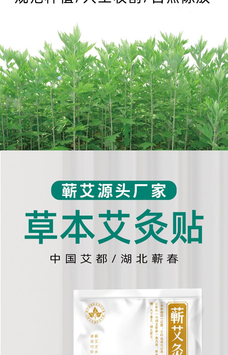 艾灸贴定制款_03