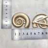 Nueva Hebilla de Conexión de Pecho de Aleación Botones Decorativos de Lencería de Moda Accesorios Irregulares Estrellas de Mar Conchas de Imitación Flores