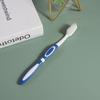Venta al por mayor Exportación Aerolínea Hotel Cepillo de dientes y Pasta de dientes Desechables Empaquetados Individualmente Suministros de Limpieza de Viaje