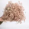 Buquê de Gipsofila Seca Preservada Flores Secas Brancas Flores Reais Secas ao Ar Flores Grandes Decoração de Sala de Estar Arranjo de Flores Flores para Fotografia de Casamento