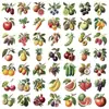 Paquete de 50 Pegatinas Retro de Frutas Pet Transparentes de Varias Frutas para Diario DIY, Maleta, Pegatina Impermeable