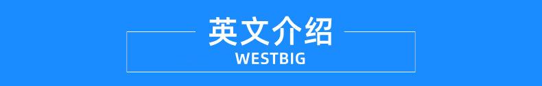 英文介绍