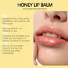Bálsamo Labial Nutritivo con Miel Hoygi Nutre Profundamente la Piel Suave de los Labios Hidratante Bálsamo Labial Hidratante