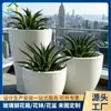 Vasos de fibra de vidro redondos personalizados para paisagismo externo, jardineiras combinadas para terraços de hotéis e floreiras para plantas verdes