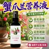 Fertilizante Solução Nutritiva Especial para Cacto de Natal Planta de Vaso Interna Floração Botão Floral Fertilizante Floração Cacto de Natal Fertilizante Especial Solução Nutritiva