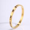 Pulsera de Acero de Titanio con Circonita Cuadrada, Pulsera de Lujo Ligero para Mujer con un Toque de Alta Gama, Pulsera de Joyería de Nicho de Moda Transfronteriza