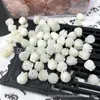 Concha natural caracol ferradura Botão Tulipa Lírio orquídea grampo de cabelo antigo joias DIY acessórios atacado
