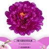 Cabeza de Flor Simulada Flor de Seda Boda Flor de Seda Accesorios Linterna LED Utilería para Fotografía Flor de Peonía Luz Nocturna