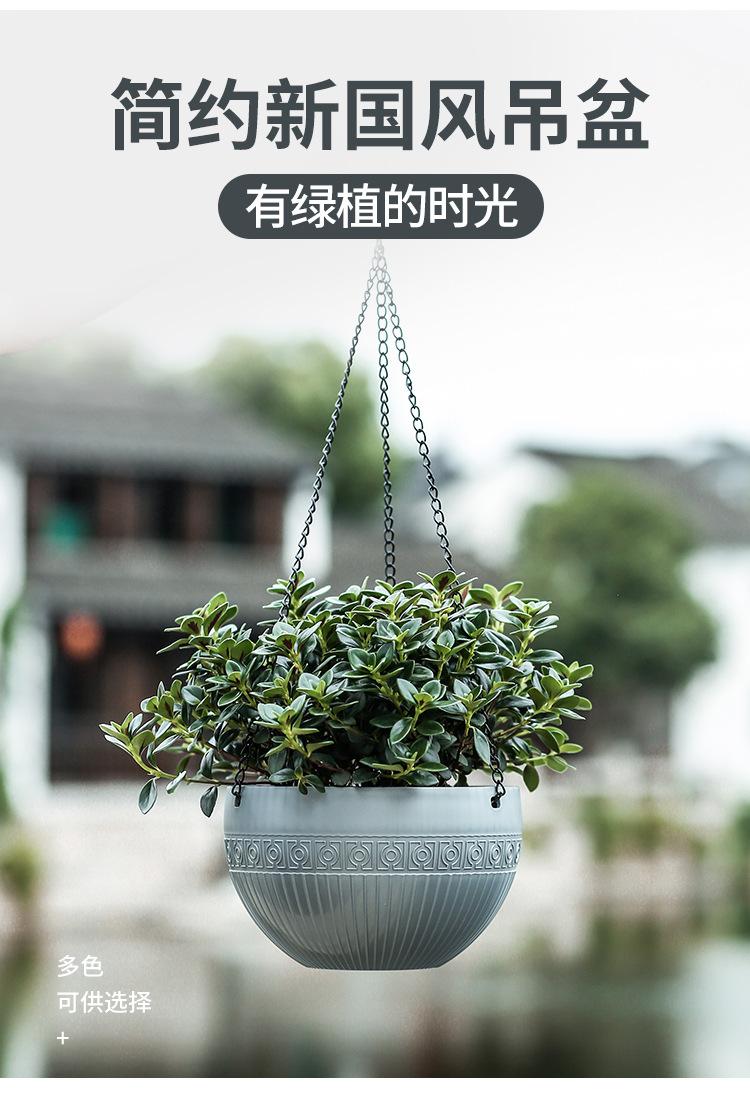 6.25花盆5_01.jpg
