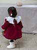 Roupas de Inverno para Crianças, Vestido Grosso para Bebê, Roupas Infantis Estilo Coreano, Saia de Veludo para Bebê, Casaco de Algodão para Menina