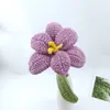 Tulipanes de Flor Abierta, Tejidos a Mano, Hilo Flores Eternas, Ramo Terminado Regalo