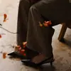 2026 Estilo Caliente de Celebridad de Internet Zapatos de Salón de Corte Bajo con Punta Puntiaguda Versátiles para Mujer Estilo Callejero Alta Apariencia Estilo Japonés Cómodos Zapatos Profesionales