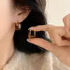 Brincos Vintage Cor Marrom Maillard para Mulheres, Novos Brincos Argola Populares 2026, Acessórios de Orelha Elegantes de Luxo Leve para Outono e Inverno