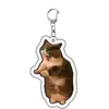 Chaveiro Acrílico Dupla Face para Pet Pingente de Expressão Sapo Cachorro Gatinho Criativo Ornamento