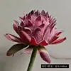 Flor Artificial de Anémona Flotada de Gama Alta, Flor Acolchada con Agujas, Accesorios para Fotografía de Bodas, Adornos para Decoración del Hogar, Flor Artificial
