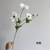 4 Cabeças Flor de Anêmona Flor Artificial Decoração Ranúnculo Arranjo de Flores de Mesa Decoração de Corredor de Casamento Arranjo de Flores Gérbera Rosa Maithai