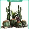 Cacto Simulador Planta Verde Tropical do Deserto Paisagismo Decoração de Janela de Escada Interna Peça Decorativa Grande Coluna de Cacto Falso