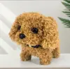 Cachorro de Brinquedo Elétrico Pelúcia para Crianças, Corgi Ursinho Realista que Anda e Late, Adequado para 1-3 Anos, Brinquedo Transfronteiriço