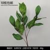 Decoración de Flores Artificiales Verdes Material de Flores de Hoja de Manzana Flor Exterior Planta Verde Hermoso Arreglo Chen Simulación de Hoja de Tortuga Arte Floral para Boda
