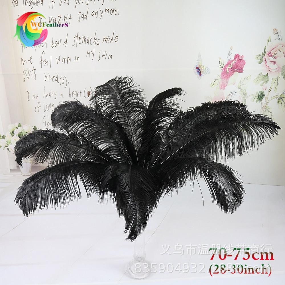 黑色 70-75cm 鸵鸟毛 2