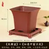 Maceta de tubo alto para árbol frondoso, espárragos, orquídea Phalaenopsis, ramas doradas y hojas de jade, plantas en maceta especiales, bonsái, maceta cuadrada de plástico