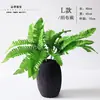 Plantas de Paisajismo de Interior, Plantas Decorativas, Helechos, Plantas Verdes Tropicales, Plantas en Maceta, Helechos Persas, Helechos Fragantes, Flores y Hojas Artificiales