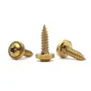 Tornillos Autorroscantes Personalizados No Estándar con Ranura de Flor de Ciruelo, Tornillos de Cabeza Disco con Punta Cónica de Latón, Tornillos Autorroscantes de Cobre Puro Antirrobo