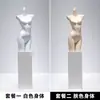 Soporte de Exhibición de Modelo de Lencería de Fábrica Maniquí de Cuerpo Entero Femenino con Soporte para Sujetador Push-Up y Ropa Interior Accesorios de Modelo de Cuerpo Humano Falso Modelo de Busto