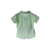 Traje de Verano para Niños 2025 Nuevo Bebé Casual Camisa Polo de Manga Corta Conjunto de Dos Piezas Ropa de Verano para Bebé Moderno