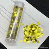Decorações de Glitter para Nail Art Ecológicas, Glitter de Estrela de Cinco Pontas Dourado e Prata com Flocos Finos Misturados Adesivos de Unha DIY Decorações