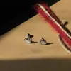 Lindo Exquisito Goteo de Esmalte Oreja de Gatito Hueso de Uña Tornillo Nicho Personalidad Única Versátil Simple para el Trabajo Diario Oreja de Moda