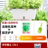 Maceta para plantar verduras en balcón, caja para cultivar verduras en casa, maceta auto-riego para fresas de interior, maceta de plástico para personas perezosas