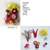 [Caixa de Flores Pré-Projetada] Flores Secas, Flores Preservadas, Velas Perfumadas, Materiais de Flores DIY, Porta-Retrato de Flores Secas para Crianças, Kit de Materiais para Leque