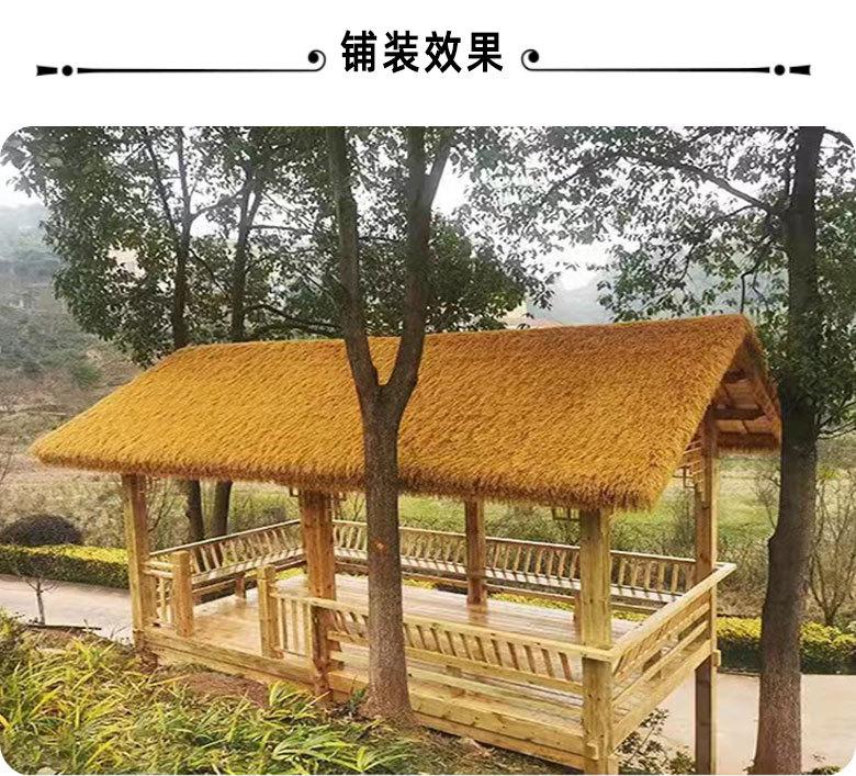 未标题-1_04.jpg