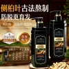 Champú Anti-Caspa Caída de Cabello Hoja de Ciprés Suave Nutritivo Pasta para Lavar el Cabello Champú Limpiador Hidratante Fijación del Cabello Voluminizador Fabricante