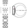 Adecuado para Apple Watch 11-1 Modelo Representativo con Correa de Metal de Cintura Pequeña de Diamantes Completos de Cinco Cuentas, Venta al por Mayor en Stock