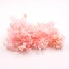 Hortensia Flor Seca Flor Eterna Material Flor Rosa Regalo de Navidad Ramo Hecho a Mano Hortensia de Madera 20g En Caja