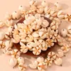 Hecho a Mano Bricolaje Natural Cáscara de Fruta Carrillón Colgante Llavero Accesorios Cápsula Cáscara de Fruta Campana Joyería Materiales Venta al por Mayor
