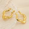 Pendientes Irregulares de Acero de Titanio Estilo Europeo y Americano para Mujer, con Rosca en Forma de Corazón, Elegantes y Modernos Accesorios para Orejas, Venta al por Mayor, Lujo Ligero, Sensación de Alta Gama