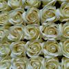 Fábrica de Origen Flor de Jabón de Tres Capas con Base Cabeza de Flor Rosa Simulada Flor de Agua Flor de San Valentín Cabeza de Flor Preservada