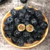 Meseta de Yunnan L25 Arándano Floral al por Mayor Arándanos Frescos Bayas de Arándano Floral Frutas Frescas de Temporada