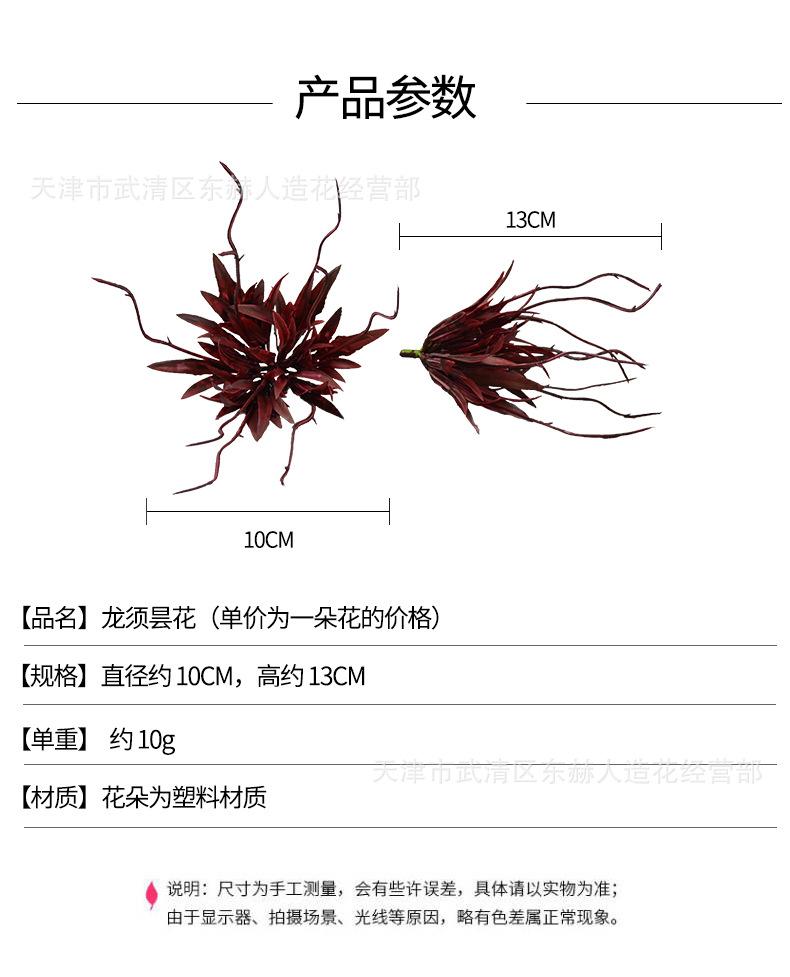 详情_01.jpg