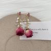 Aretes de flor eterna rosa natural con cuentas, aretes de flor con borla de cristal, temperamento super hada, aretes de nicho únicos