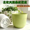 Novo Vaso de Flores Listrado Vertical Florido Atenas Nórdica Respirável Resistente Durável Sala de Estar Varanda Vaso para Plantas Verdes Vaso de Flores de Plástico